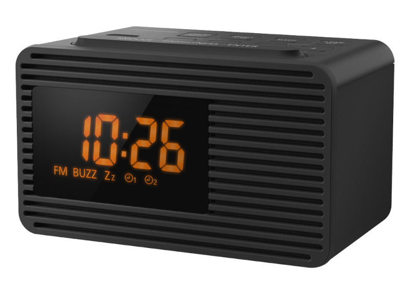 Panasonic FM Clock Radio (RC-800)